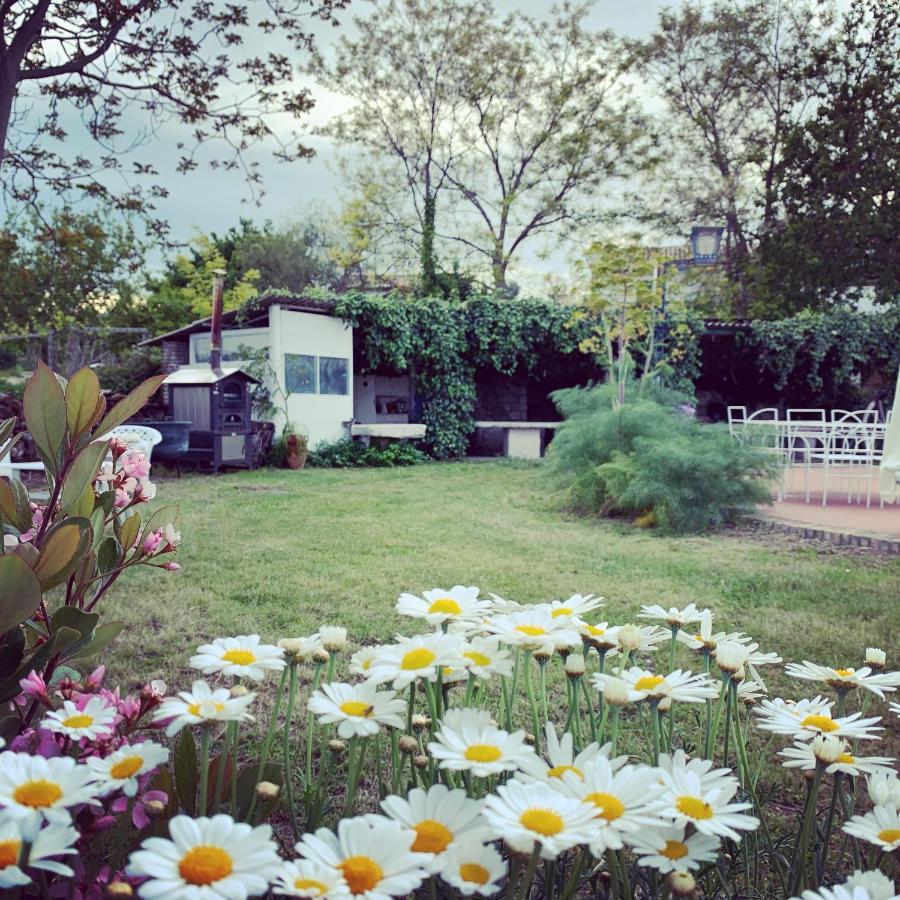 Vakantieboerderij Fattoria Pozzitello